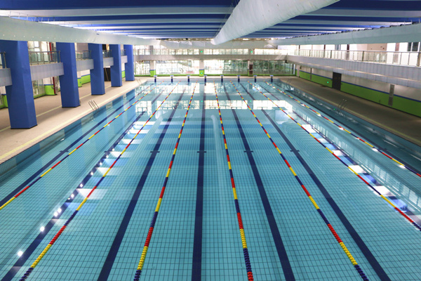 郑州19中新建的标准化泳道