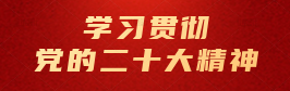 学习贯彻党的二十大精神
